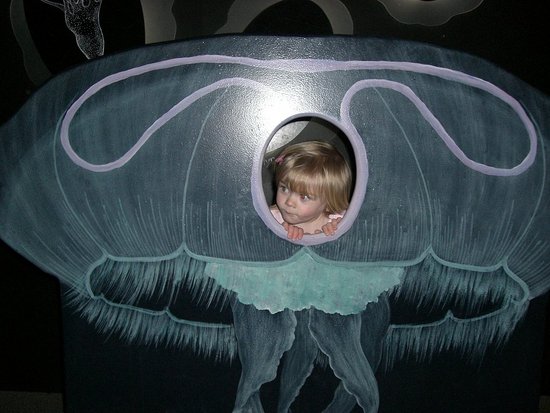 Jellyfish Izzy. Jellyfish Izzy.
